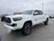 2023 Toyota Tacoma 4WD 4WD TRD Sport Double Cab 6' Bed V6 AT (Natl)