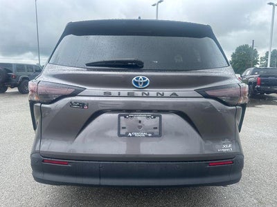 2024 Toyota Sienna XLE FWD 8-Passenger (Natl)