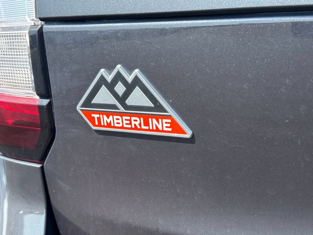 2022 Ford Expedition Timberline